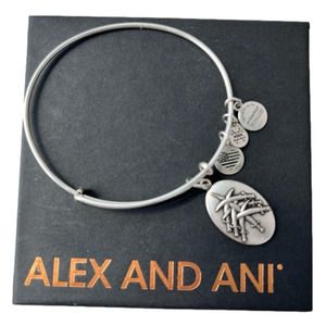 Alex and Ani Seven Swords Love Radiance Strength Bracelet